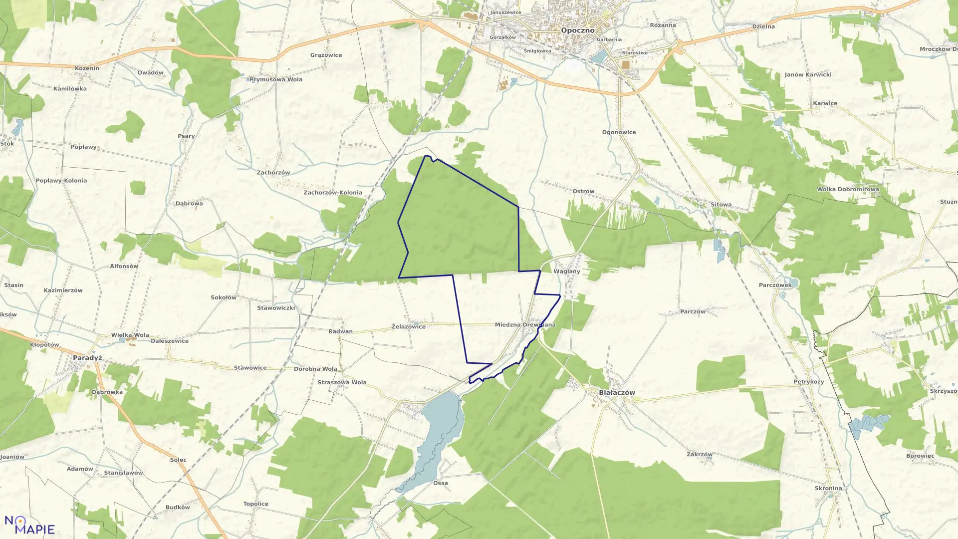 Mapa obrębu MIEDZNA DREWNIANA gmina Białaczów