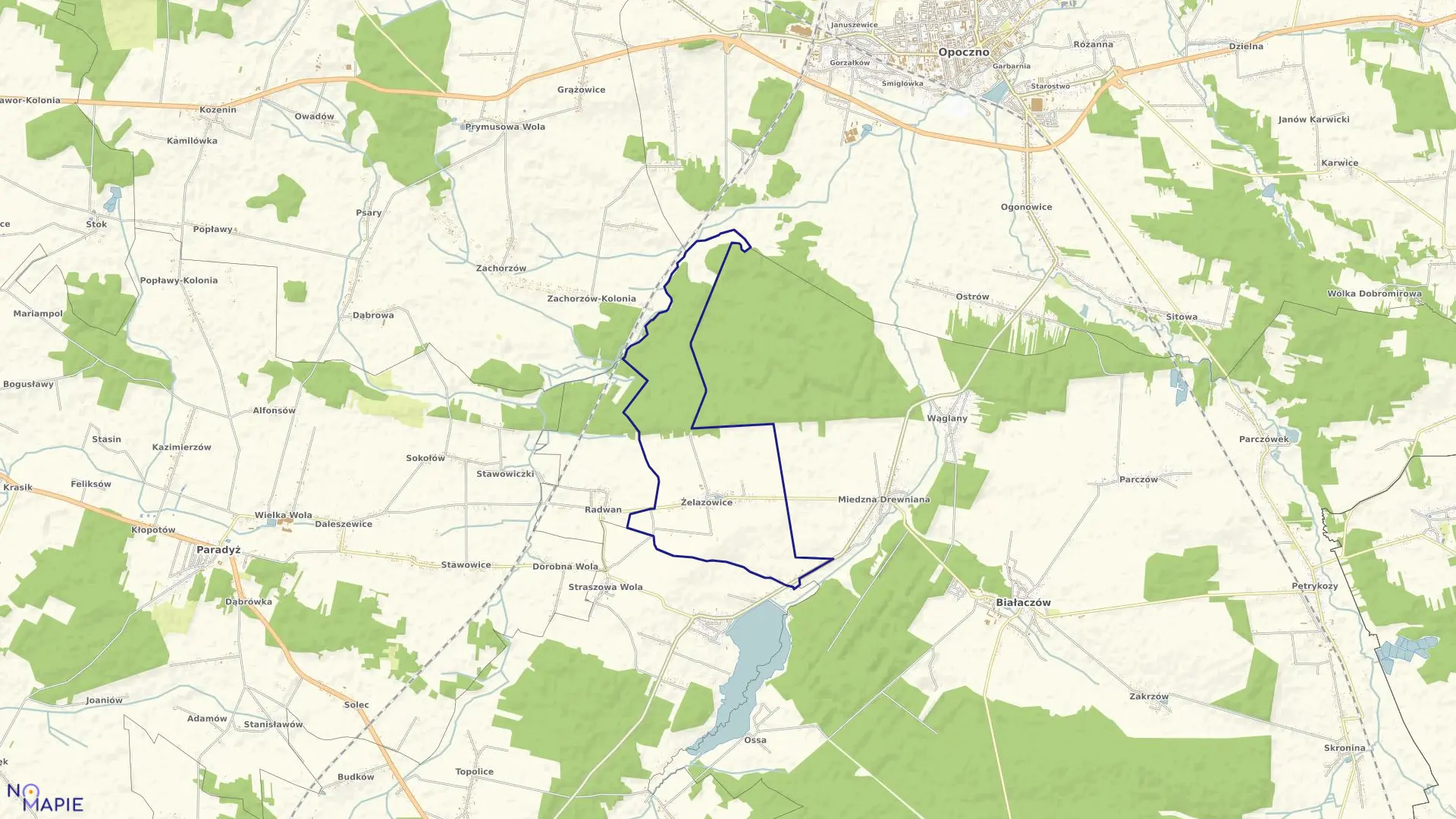 Mapa obrębu ŻELAZOWICE gmina Białaczów